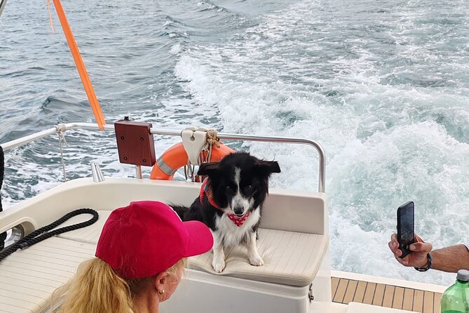 Private Half-Day Boat Excursion in Pula - Snacks, Drinks, and the Lunch Question