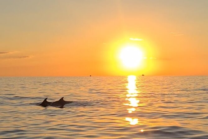 Private Half-Day Boat Excursion in Pula - Family Comfort and Access Details