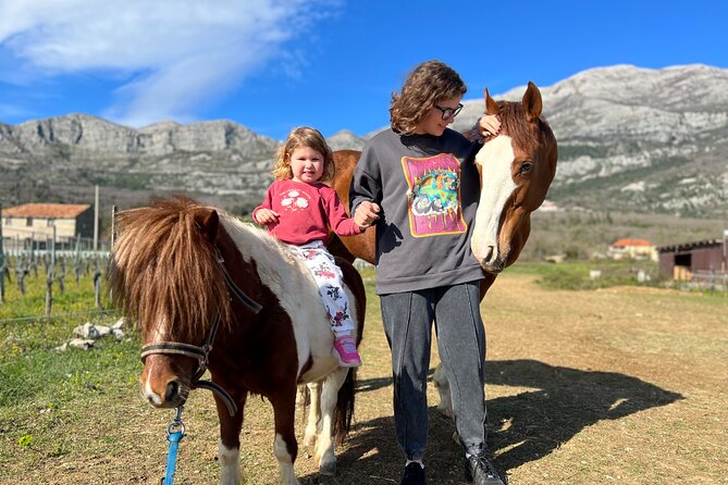 Private Horseback Riding and Family Time in Konavle Region - Is the $151.26 group price good value?