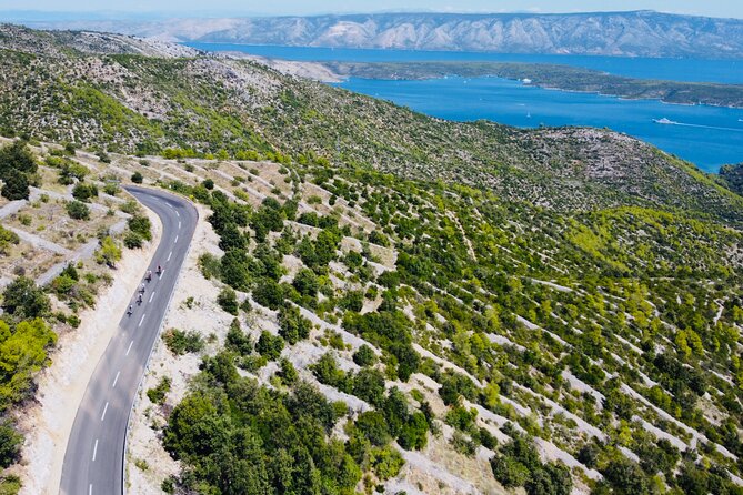 Private Hvar Island Bike Tour and Wine Tasting - Who will enjoy this private Hvar outing?