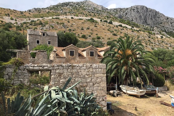 Private Hvar Island Tour and Olive Oil Tasting - The olive oil tasting in Svirče