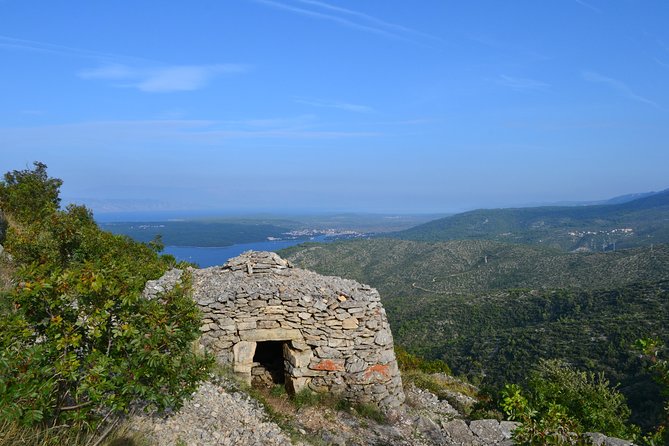 Private Hvar Island Tour and Olive Oil Tasting - What the private format changes