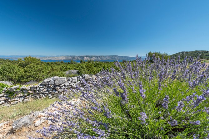 Private Hvar Wine Tasting Tour - How much value do you get for $173.75?