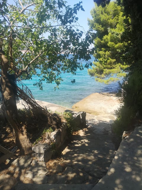 Private Island Hopping Boat tour around Zadar with Drinks - Price and the extra docking cost
