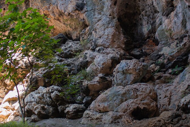 Private Korcula Eco Tour with Guide - Starting at SPOT Mall and finding the route