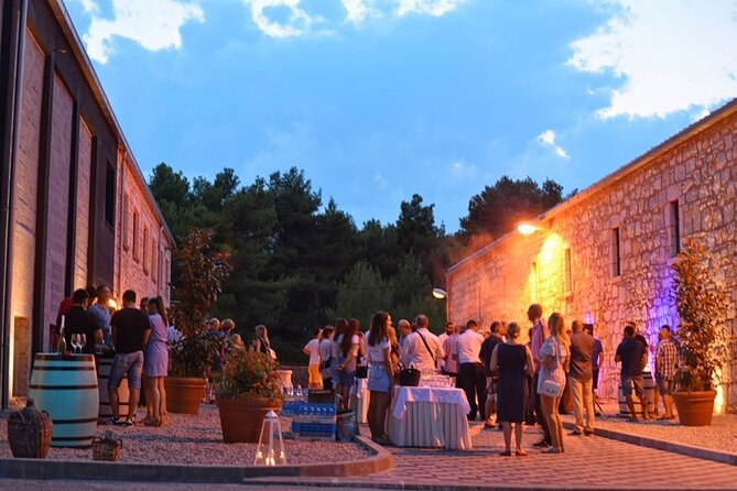 Private Korcula wine tour and tasting - Who should book this experience?
