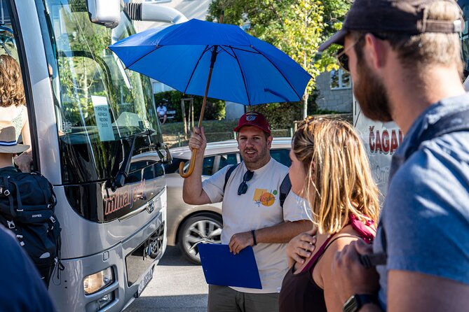 Private Krka Waterfalls tour with 30min Boat Cruse - What the guides do well, and where communication matters
