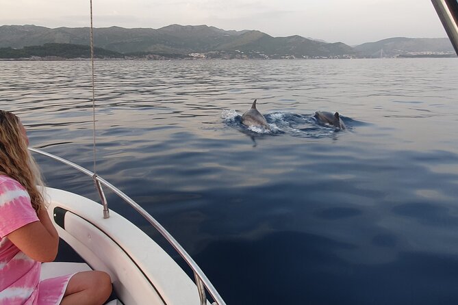 Private Local Guided Speedboat Tour in Dubrovnik Archipelago - Lopud village: cafés, restaurants, and a choice of arrival