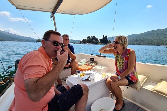 Private Oyster and Wine Tasting Day Trip along Peljesac - The private format and the $297.85 price