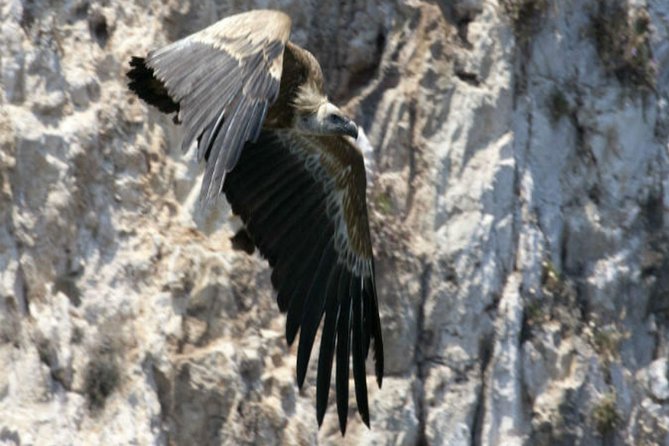 Private Plavnik Island Half-Day boat trip with capt. Bobo - What The $336.07 Group Price Means
