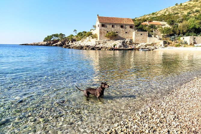 Private Speed Boat Tour of Hvar South Shore & Pakleni islands - Mala Milna adds food and flexibility