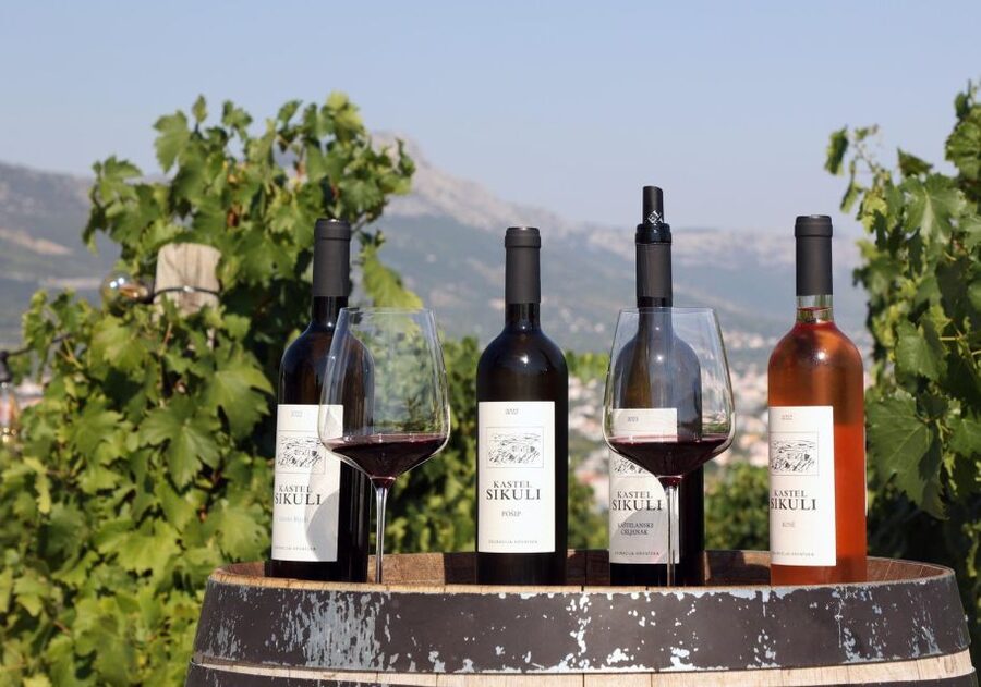 Private Split & Trogir Wine Tasting & Vineyard with Sea View - What the private format really adds