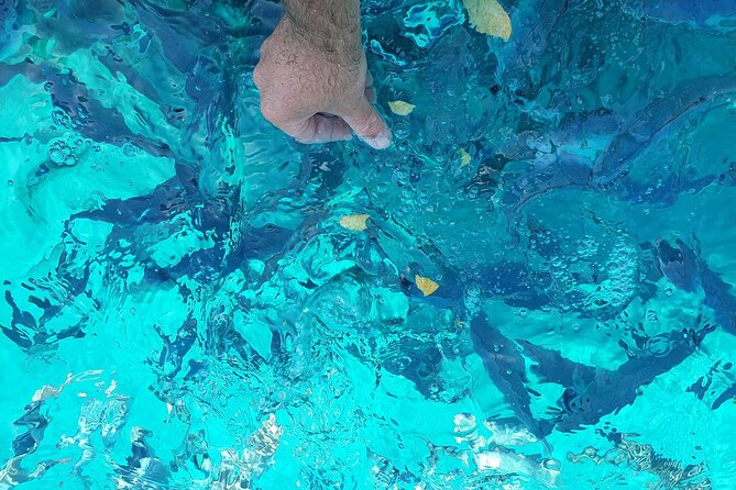 Private tour of Pakleni islands, Red Cliffs & South Shore of Hvar - Price, group size, and overall value