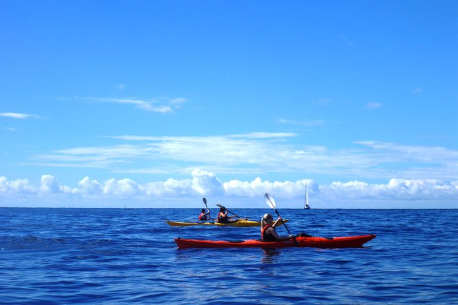 Private tour: Sea Kayaking & Snorkeling to Green Cave on Sipan island from Lopud - What the $423.40 group price includes