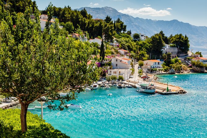 Private Transfer from Dubrovnik to Split with 2 hours for sightseeing - Rizman Winery: the most scenic break
