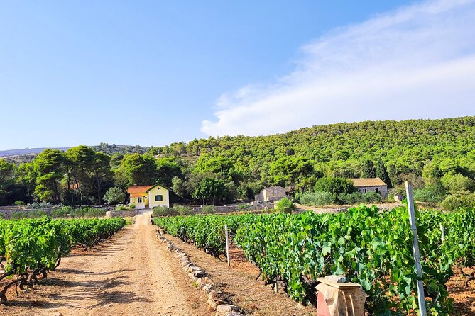 Private Wine and Gin Tour Around the Island of Korcula - Lumbarda and the character of Grk