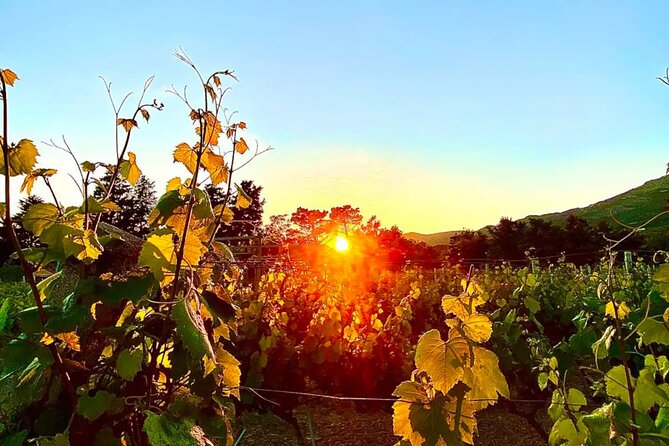 Private Wine Tasting Under The Stars With Sunset Panorama - Arriving at Winery Botaro