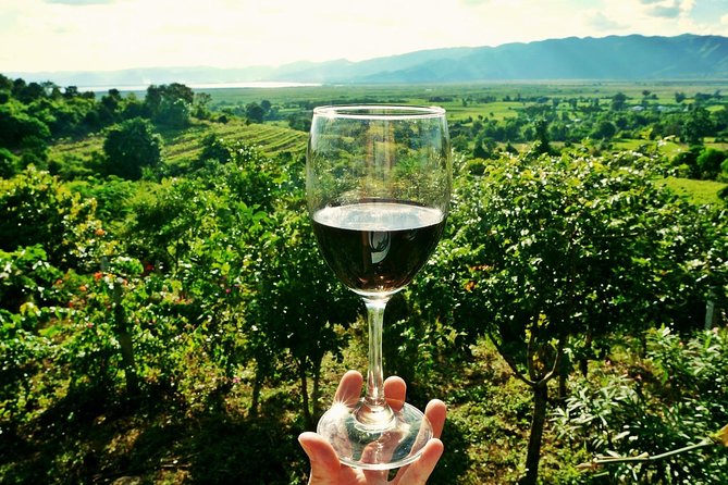 Private Wine Tour from Zagreb: Two Local Wineries & Samobor - Key details at a glance