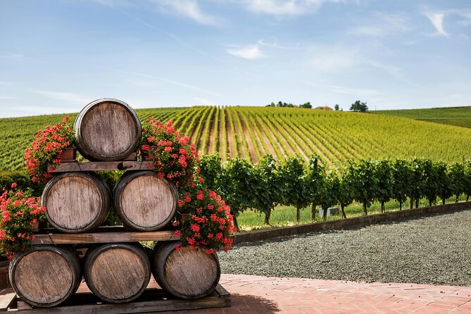 Private Wine Tour from Zagreb: Two Local Wineries & Samobor - Leaving Zagreb for the Plešivica hills