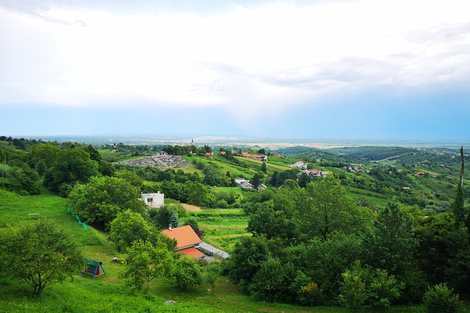 Private Wine Tour from Zagreb: Two Local Wineries & Samobor - Two wineries, two different moods