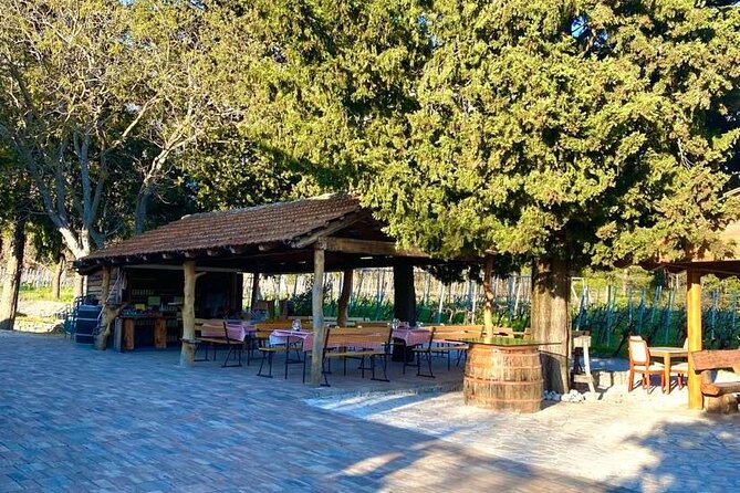 PRIVATE Wine Tour to Konavle country side - Homemade liqueurs from sage to walnut