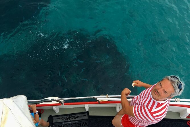 PUBLIC 5h Plavnik Island swimming & snorkeling Half-day Boat trip - Weather, cancellation, and planning advice