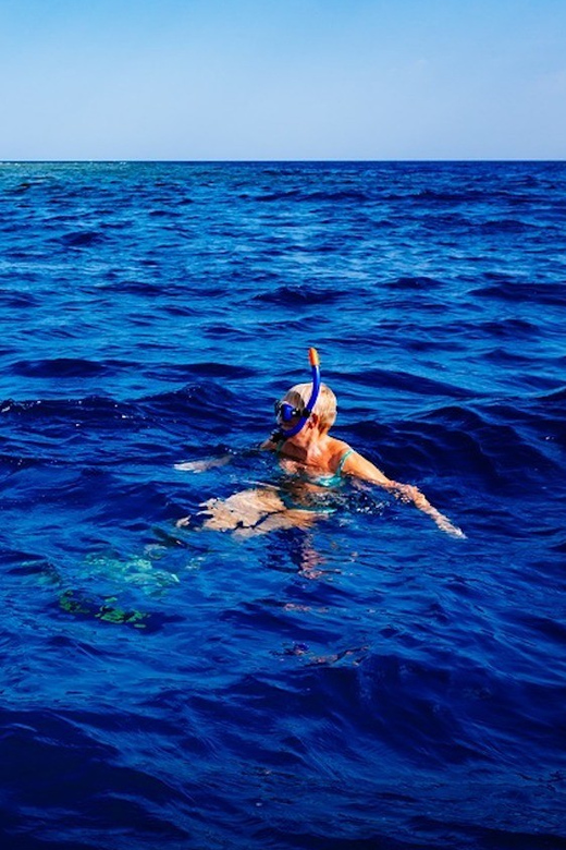 Pula: 2.5-Hour Snorkelling Experience - Setting out from Verudela below Hotel Park Plaza Histria