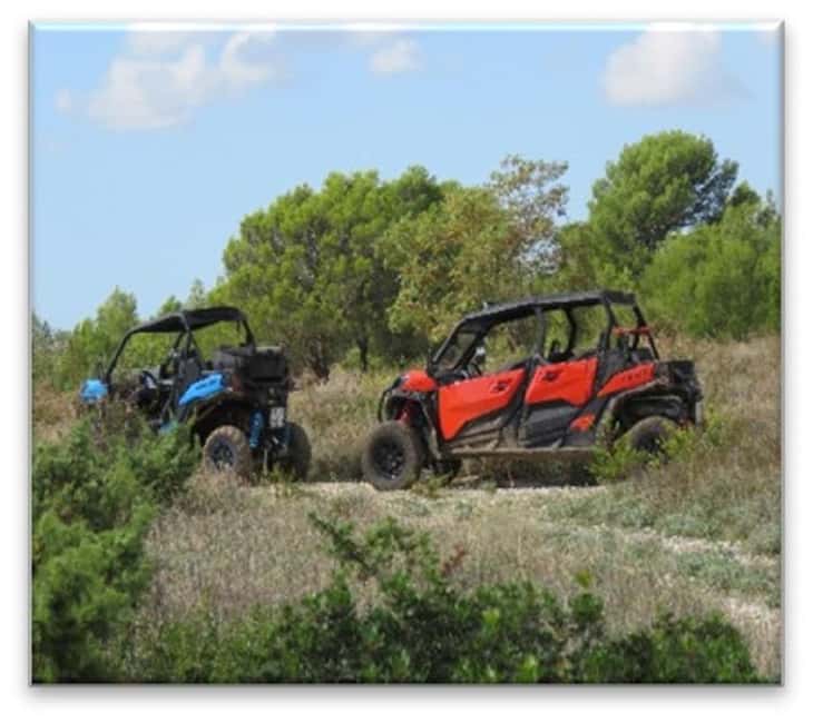 PULA AND ROVINJ: BUGGY FAMILY SAFARI 1, 2 & 4 H - Key points before you book