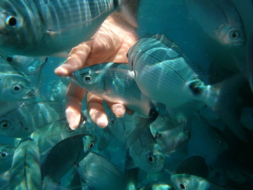 Pula: Bike Tour of Ancient Pula & Aquatic Adventures - Stoja and the swim at Pigeons Cave
