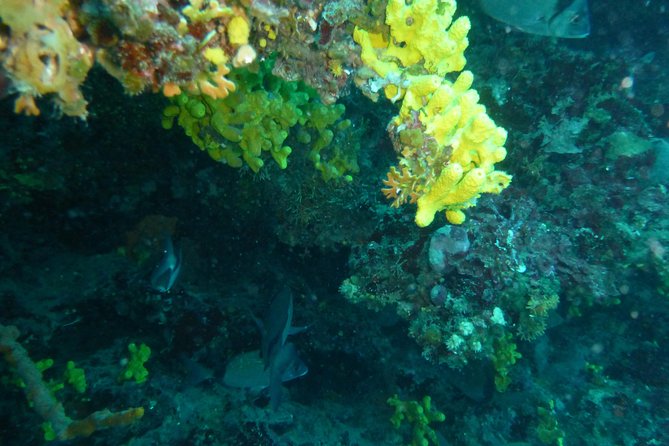 Pula Boat Trip with Snorkeling - Snorkeling gear and the fit question