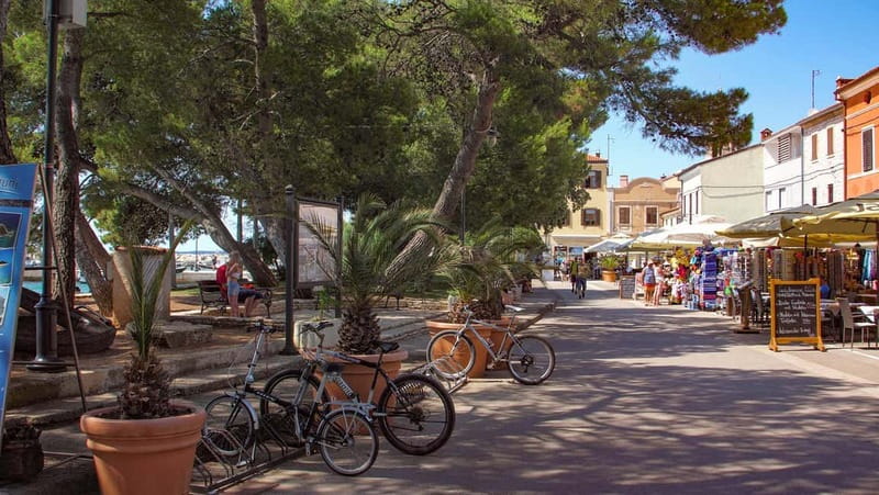 Pula: Brijuni National Park Cruise, Lunch and Fažana Beach - Fažana’s 2.5-hour beach stop