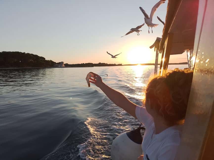 Pula: Brijuni National Park Dolphin Watching Tour w/Dinner - My call: book it for the whole evening