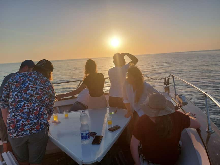 Pula: Brijuni National Park Dolphin Watching Tour w/Dinner - The dolphin search, where patience matters most
