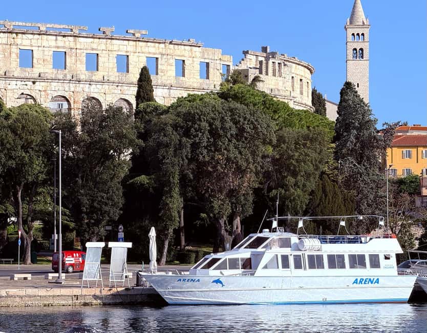 Pula: Brijuni National Park Dolphin Watching Tour w/Dinner - Who will enjoy the Arena cruise most?