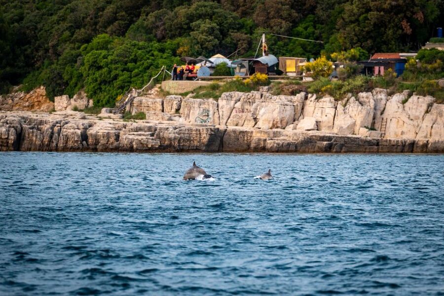 Pula: Brijuni National Park Sunset, Dolphins & Dinner Cruise - Entering Brijuni National Park by wooden boat