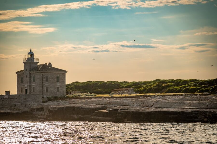 Pula: Brijuni National Park Sunset, Dolphins & Dinner Cruise - Wine, orange juice, and an easygoing mood