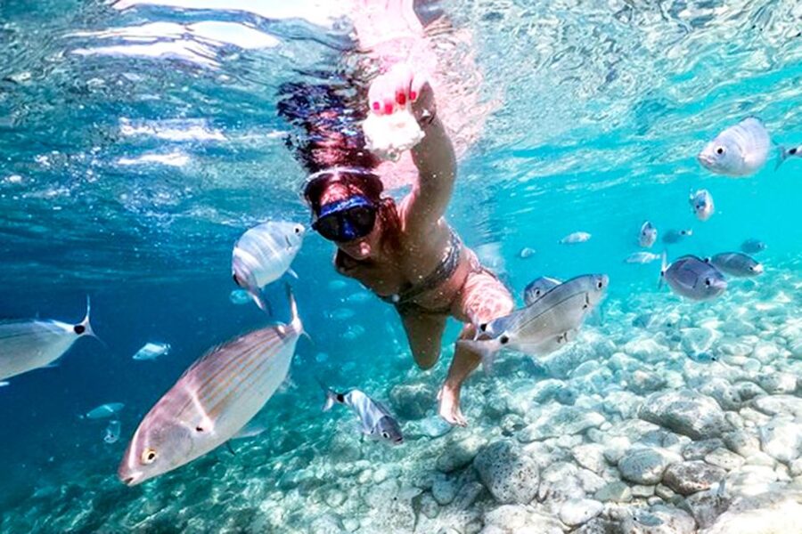 Pula: Brijuni National Park Tour with Island Visit - Should you book it?