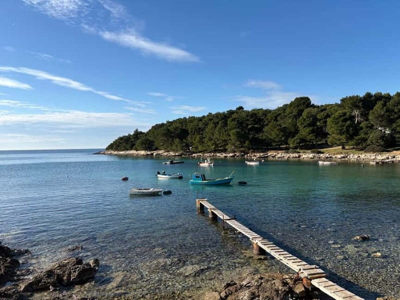 Pula by E-Bike: Roman Ruins, Sea Views & Hidden Gems - A small group makes the ride more flexible