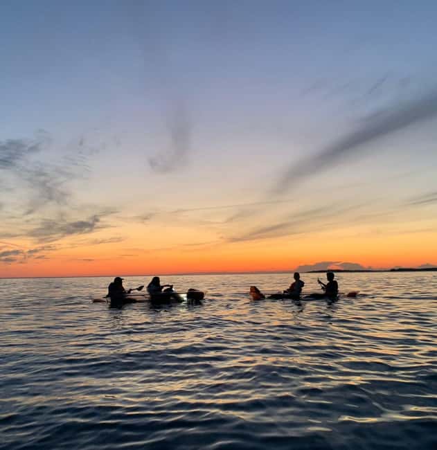 Pula: Cave Sunset/Night Tour in Transparent Kayak - Guide quality and the feel of the outing