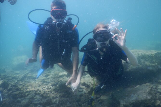 Pula Discover Scuba Diving Package - What you may see beneath Pula