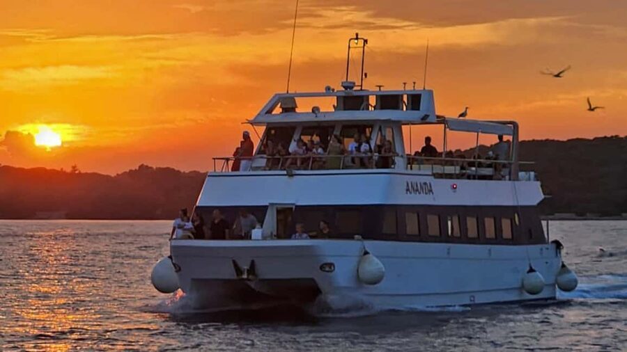 Pula: Dolphin Sunset Cruise to Brijuni with Dinner & Drinks - Searching for dolphins near Brijuni National Park