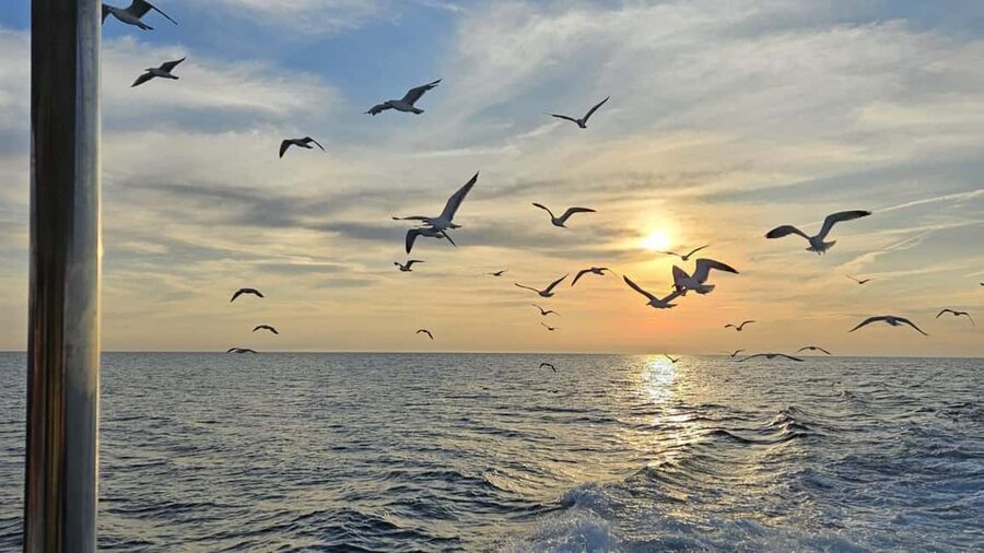 Pula: Dolphin Sunset Cruise to Brijuni with Dinner & Drinks - Sunset over the Brijuni islands