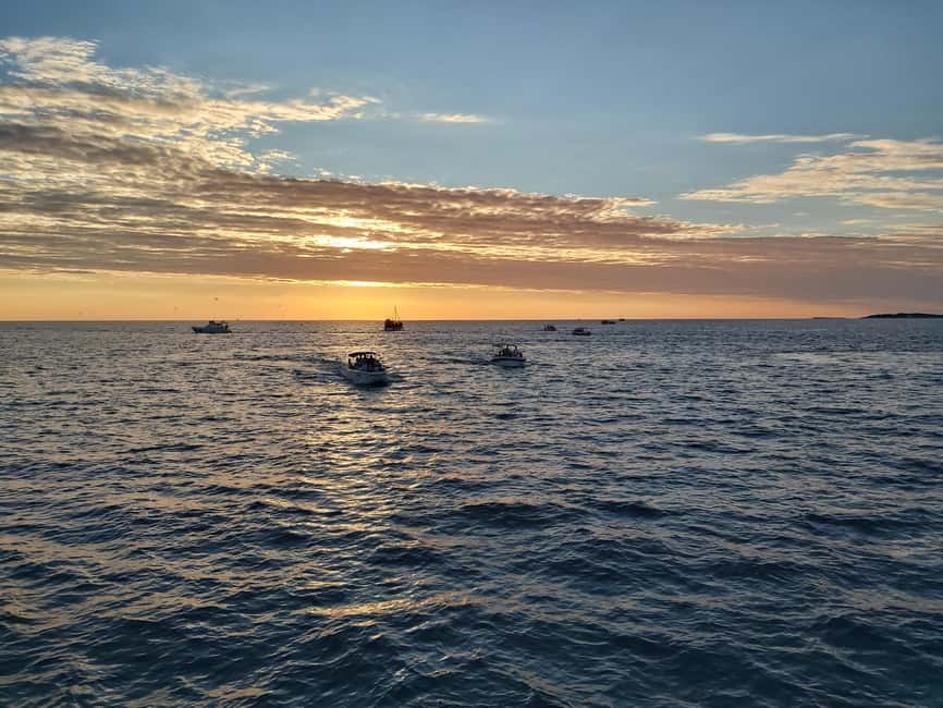 Pula: Dolphin Sunset Cruise to Brijuni with Dinner & Drinks - Passing the Lighting Giants of Uljanik