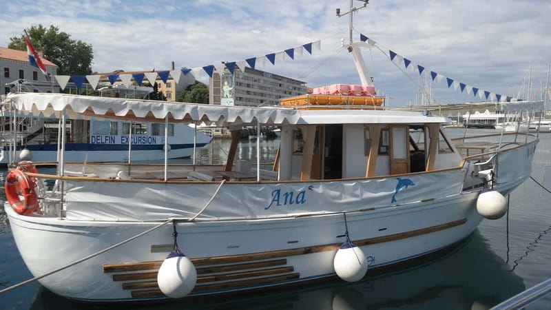 Pula: Dolphin-Watching Cruise at Sunset with Dinner & Drinks - Five things worth knowing before you sail