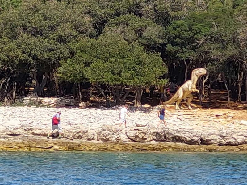 Pula: Dolphin-Watching Cruise at Sunset with Dinner & Drinks - Practical advice for a smoother evening