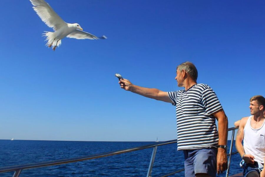 Pula: Dolphin Watching Sunset Cruise with Dinner & Drinks - Key points to know before booking