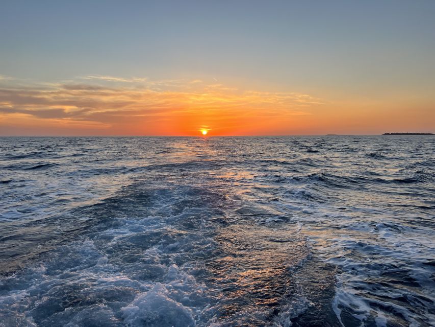 Pula: Dolphin Watching Sunset Cruise with Dinner & Drinks - Who will enjoy this evening most?
