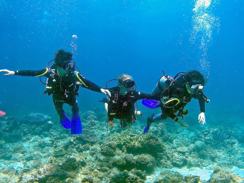 Pula: Introduction to Scuba Diving - Key points before you book