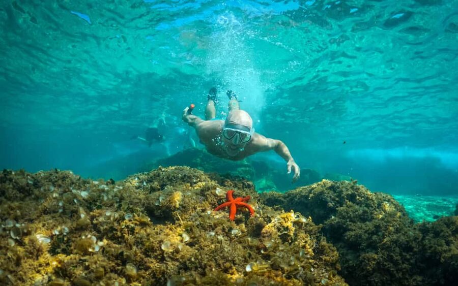 Pula: Kayaking,Snorkeling, Cliff jumping Tour with Wetsuit - The first coastal paddle and swim