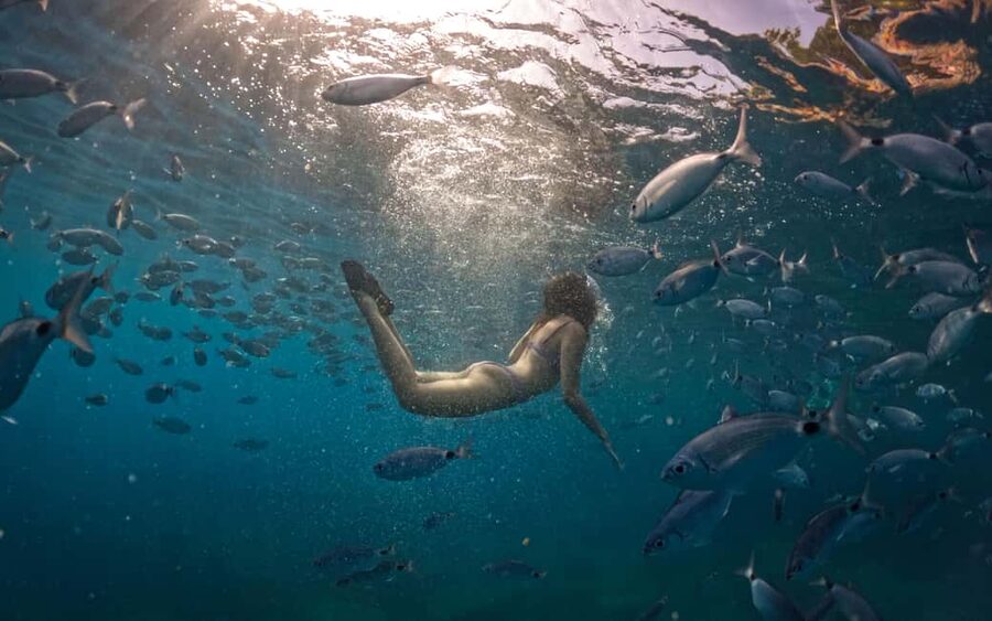 Pula: Kayaking,Snorkeling, Cliff jumping Tour with Wetsuit - Choosing the best departure time